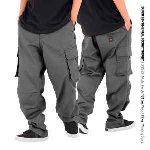 Craftman Pants Grey